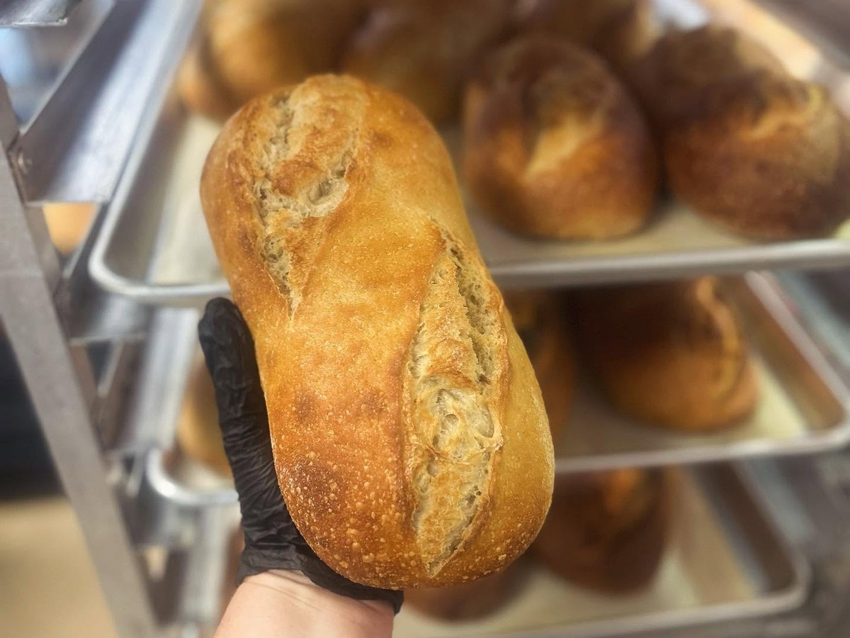 A row of fresh-baked sourdough loaves cooling on the rack